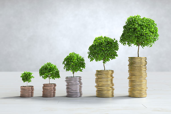 Wachsende Bäume auf Münzstapeln symbolisieren finanzielles Wachstum.